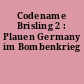 Codename Brisling 2 : Plauen Germany im Bombenkrieg
