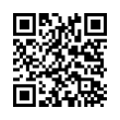 QR Code (код быстрого отклика)