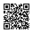 QR Code (код быстрого отклика)