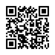 QR Code (код быстрого отклика)