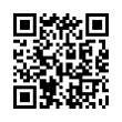 QR Code (код быстрого отклика)