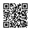 QR Code (код быстрого отклика)