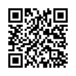 QR Code (код быстрого отклика)
