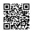 QR Code (код быстрого отклика)