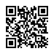 QR Code (код быстрого отклика)